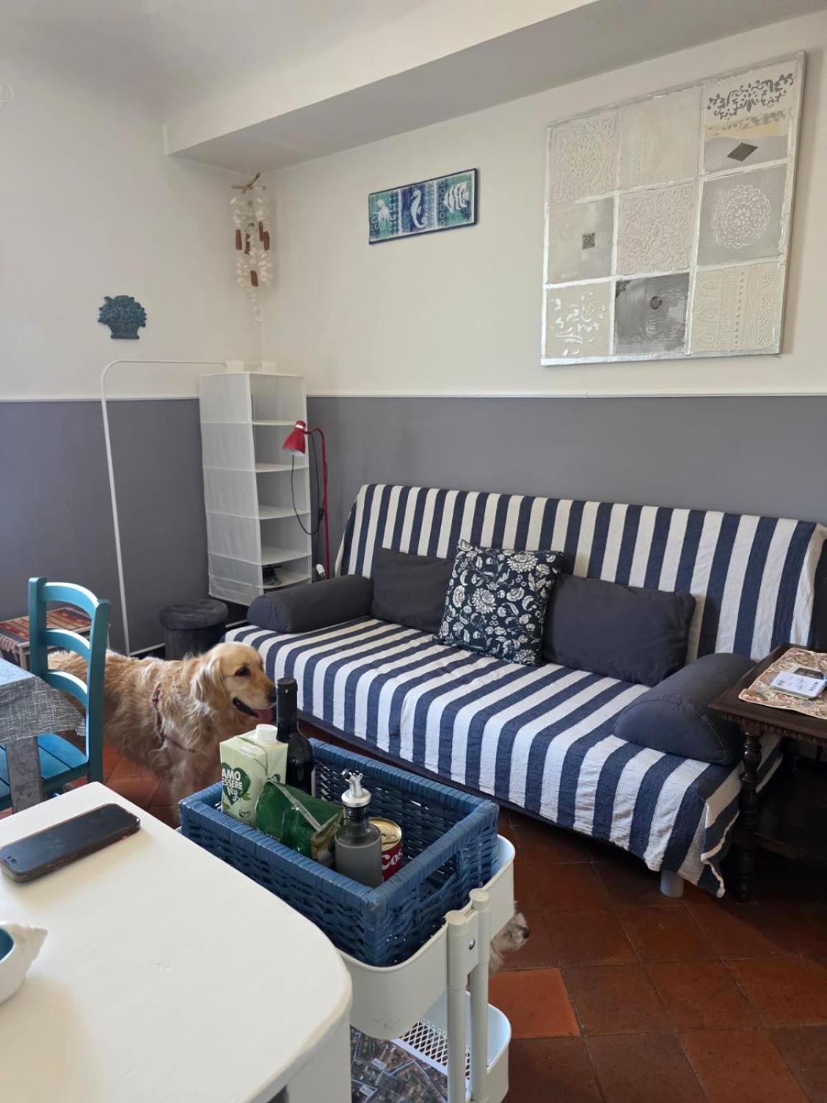 Ferienwohnung The Shell - New Interior Look But Same Old Charme 200Mt From The Sea With Garden And Parking Nearby Imperia Exterior foto