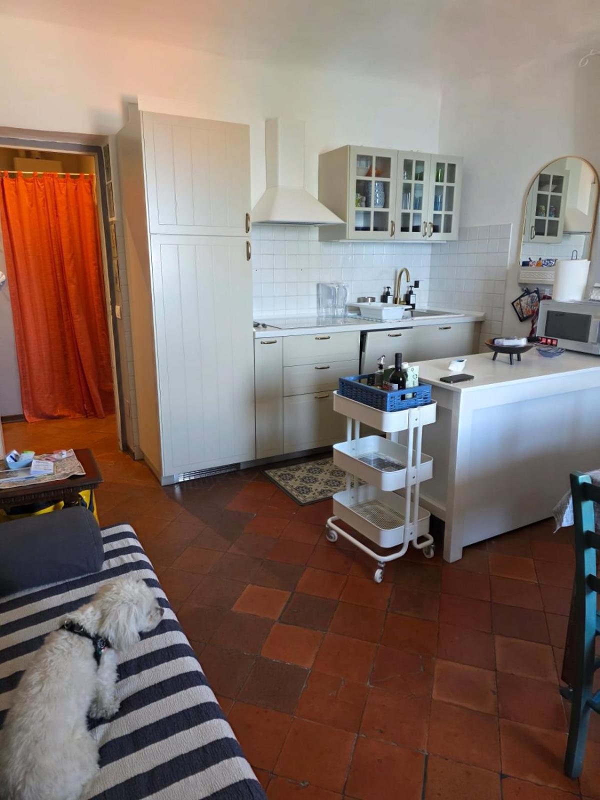 Ferienwohnung The Shell - New Interior Look But Same Old Charme 200Mt From The Sea With Garden And Parking Nearby Imperia Exterior foto